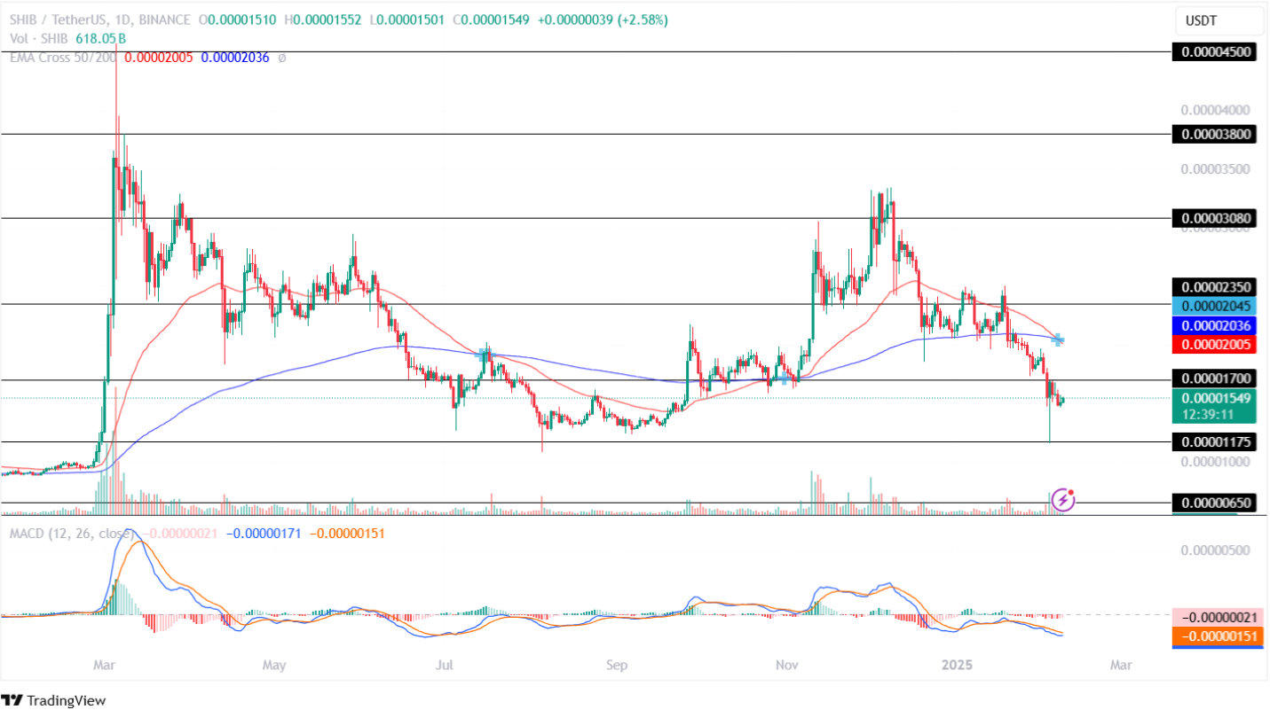 Shiba Inu Price Analysis 08th February 2025