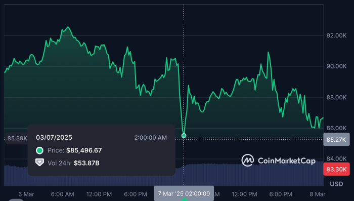 Bitcoin dip on March 7.